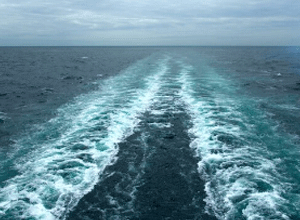 广州到珠江夜游