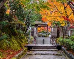 武夷山随团必读――行